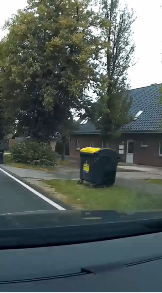 Typisch DEUTSCH! 🙈